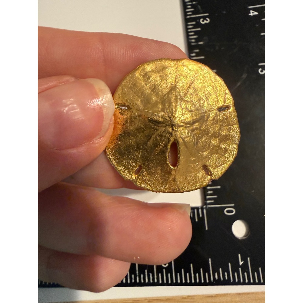 Vintage‎ Gold Tone Sand Dollar Brooch Nautical Beach Coastal Shell Pin 1.5 Inch